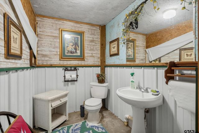 12125 N State Highway 110, Van, TX 75790