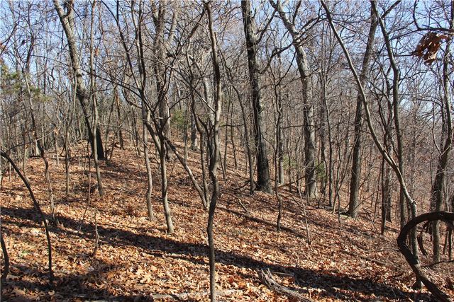 Cisco Road, Berryville, AR 72616