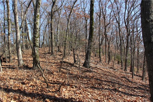 Cisco Road, Berryville, AR 72616