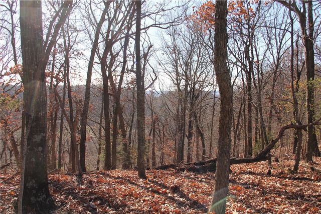 Cisco Road, Berryville, AR 72616