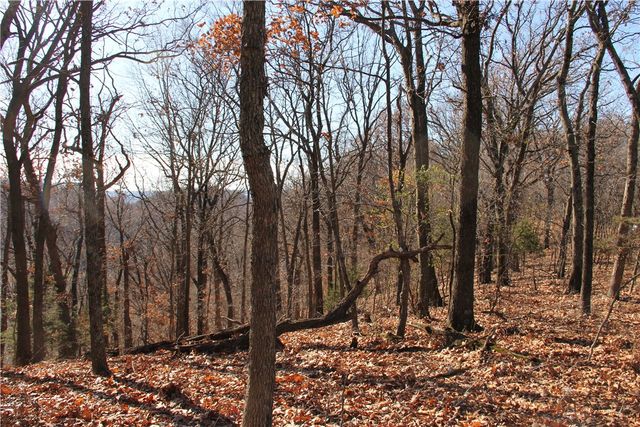 Cisco Road, Berryville, AR 72616