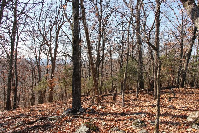 Cisco Road, Berryville, AR 72616