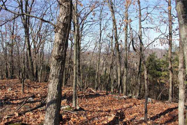 Cisco Road, Berryville, AR 72616