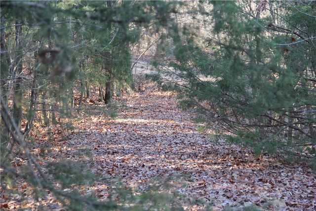 Cisco Road, Berryville, AR 72616