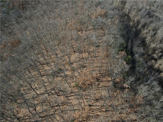 Cisco Road, Berryville, AR 72616