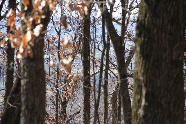 Cisco Road, Berryville, AR 72616