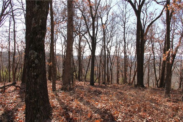 Cisco Road, Berryville, AR 72616