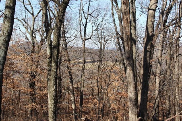 Cisco Road, Berryville, AR 72616