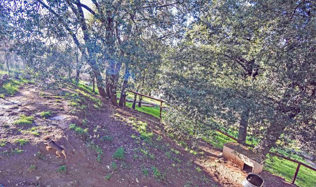 20592 Ponderosa Way, Tuolumne, CA 95379