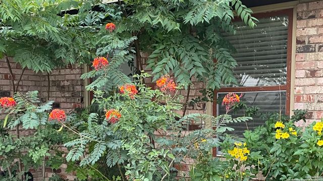 311 Rilla Vista, San Antonio, TX 78216