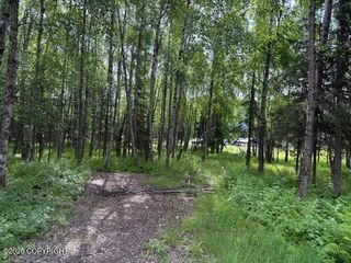 5246 W Lupine Lane, Wasilla, AK 99654