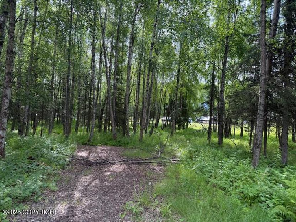 5246 W Lupine Lane, Wasilla, AK 99654