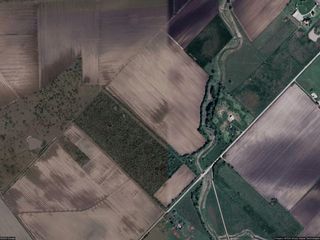 10542 Walker Road, Beasley, TX 77417