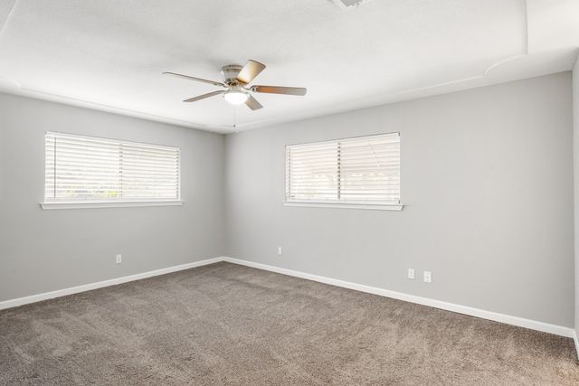 1804 W Cedar Elm Drive, Arlington, TX 76012