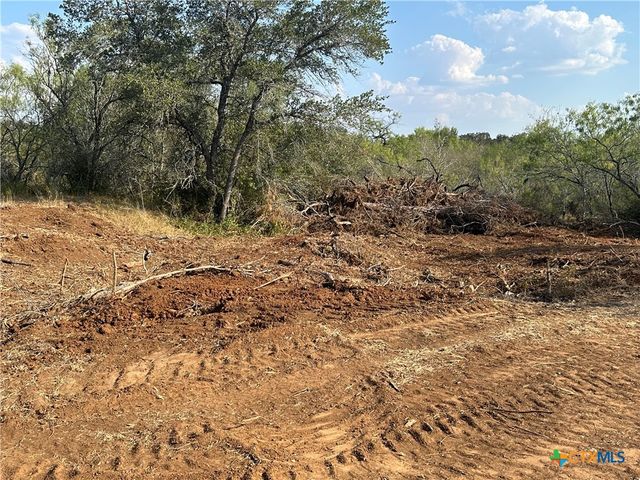 5894 FM 1107 Unit B-Tract 1, Stockdale, TX 78160