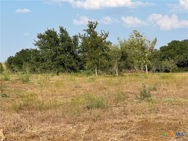 5894 FM 1107 Unit B-Tract 1, Stockdale, TX 78160