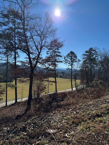 000 Mistletoe Ridge, Murphy, NC 28906