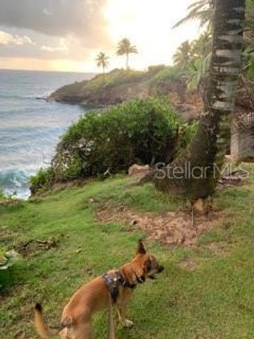 113 OLIVINE 423, Vega Alta, PR 00692