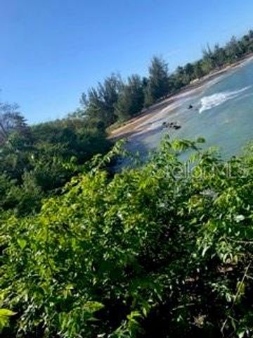 113 OLIVINE 423, Vega Alta, PR 00692