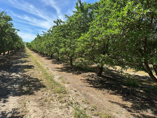 11841 S Hughes Avenue, Caruthers, CA 93609
