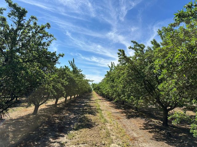 11841 S Hughes Avenue, Caruthers, CA 93609