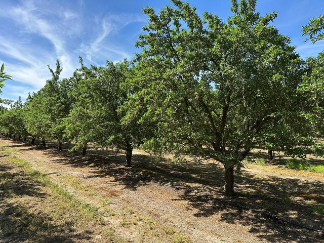 11841 S Hughes Avenue, Caruthers, CA 93609