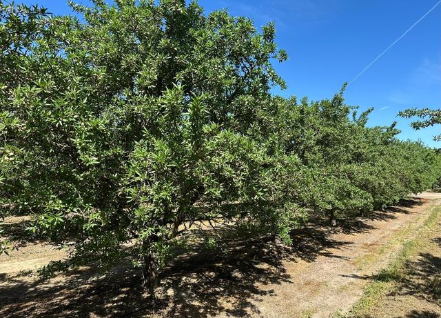 11841 S Hughes Avenue, Caruthers, CA 93609