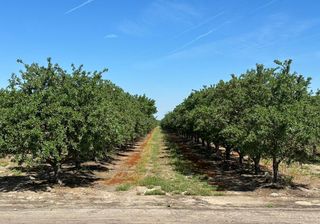 11841 S Hughes Avenue, Caruthers, CA 93609