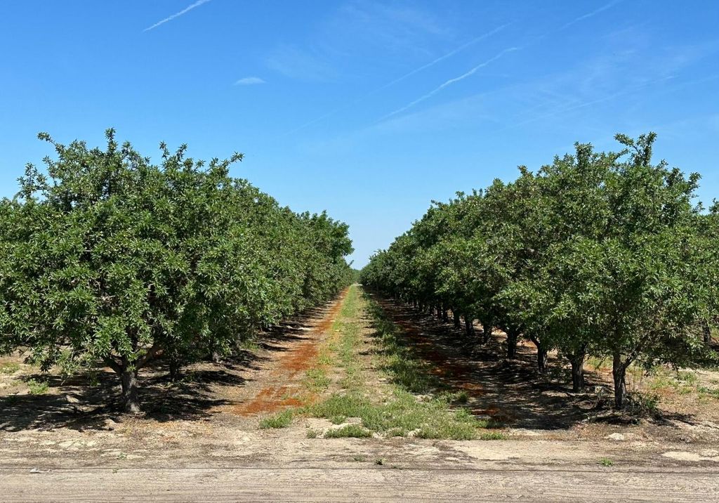 11841 S Hughes Avenue, Caruthers, CA 93609