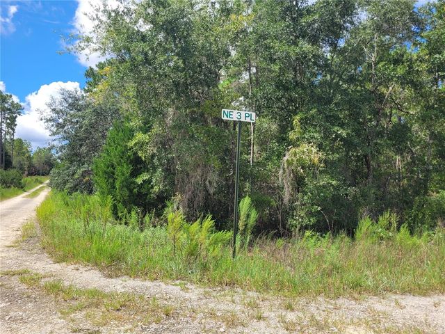 0 NE 3RD PL, Williston, FL 32696