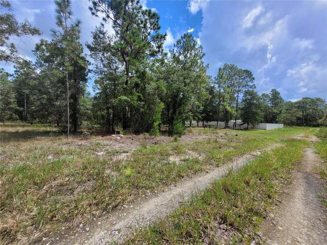 0 NE 3RD PL, Williston, FL 32696