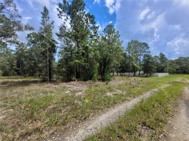 0 NE 3RD PL, Williston, FL 32696