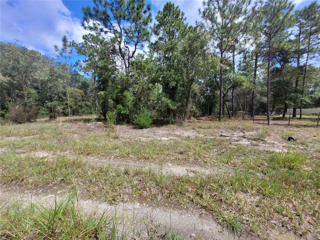 0 NE 3RD PL, Williston, FL 32696