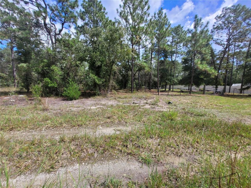 0 NE 3RD PL, Williston, FL 32696