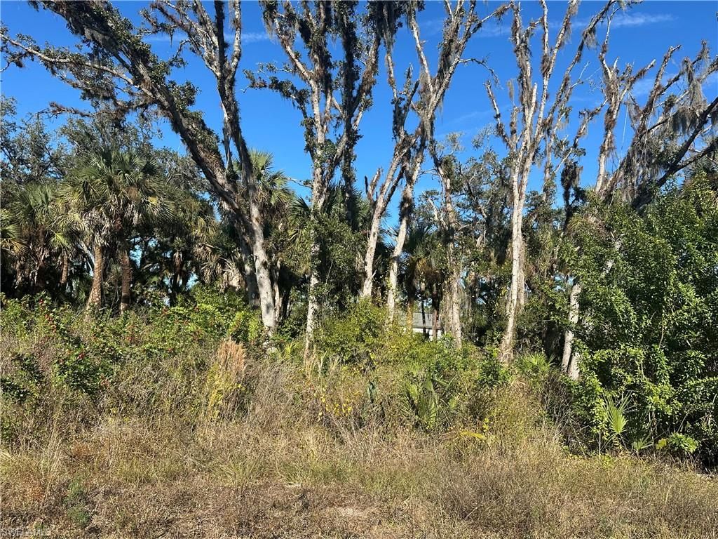 642 Kleinart DR, LEHIGH ACRES, FL 33972 — photo 2