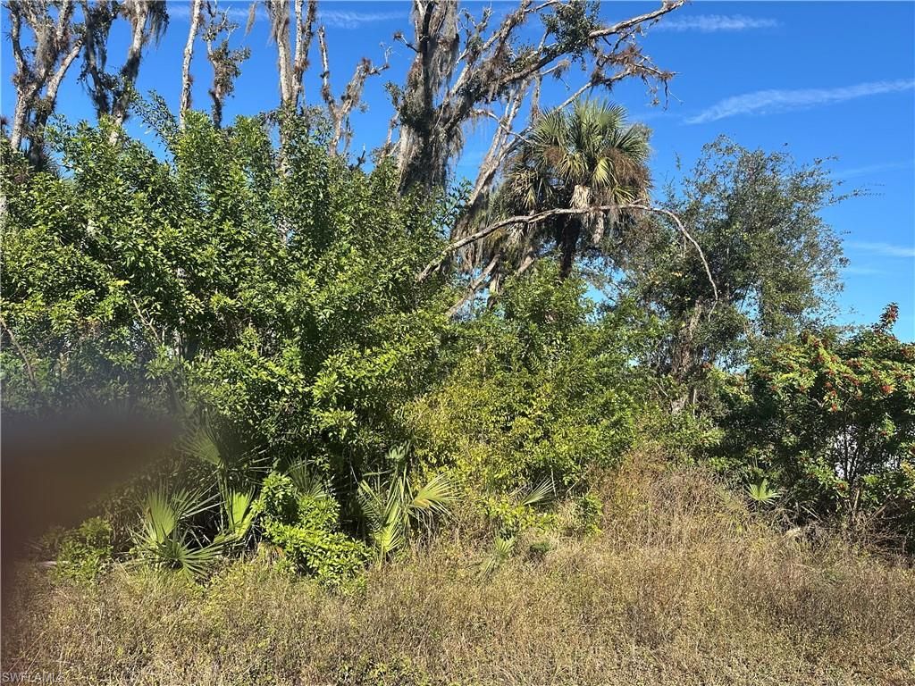 642 Kleinart DR, LEHIGH ACRES, FL 33972 — photo 3