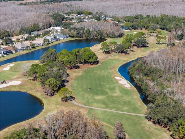 18916 SAINT LAURENT DRIVE, Lutz, FL 33558