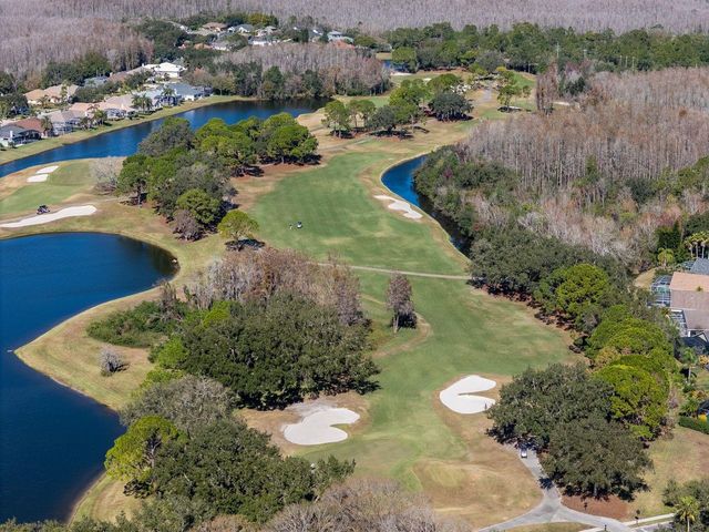 18916 SAINT LAURENT DRIVE, Lutz, FL 33558