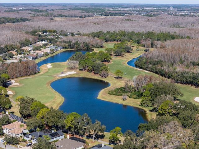 18916 SAINT LAURENT DRIVE, Lutz, FL 33558