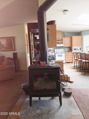 209 S ROLLING HILLS Road, Young, AZ 85554