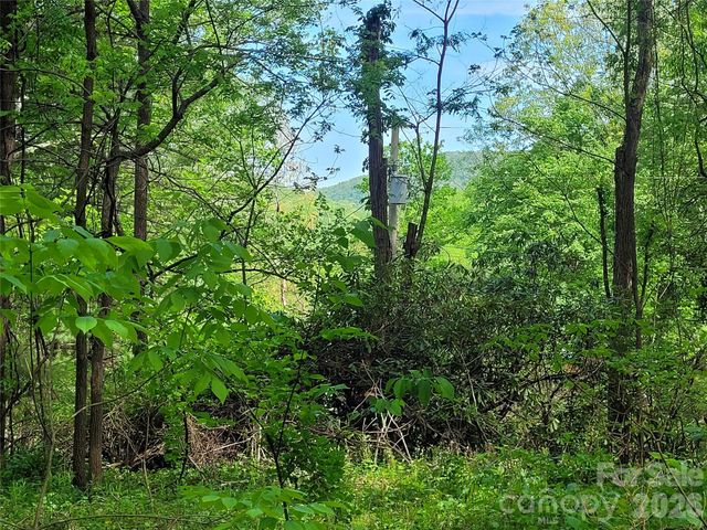 00 Fox Run Road, Waynesville, NC 28785