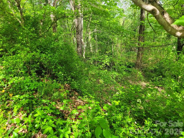 00 Fox Run Road, Waynesville, NC 28785