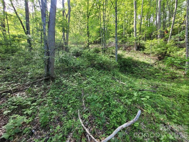 00 Fox Run Road, Waynesville, NC 28785