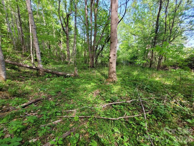 00 Fox Run Road, Waynesville, NC 28785