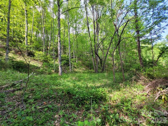 00 Fox Run Road, Waynesville, NC 28785