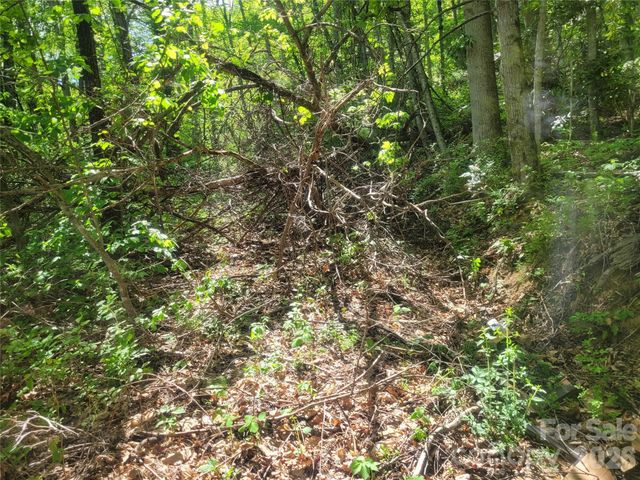 00 Fox Run Road, Waynesville, NC 28785