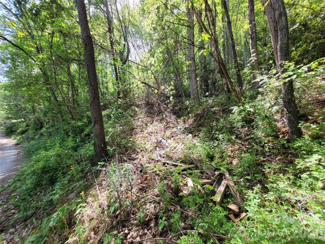 00 Fox Run Road, Waynesville, NC 28785