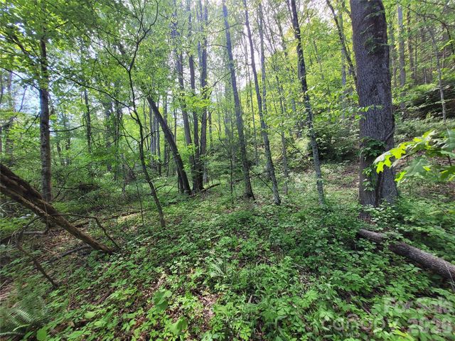 00 Fox Run Road, Waynesville, NC 28785