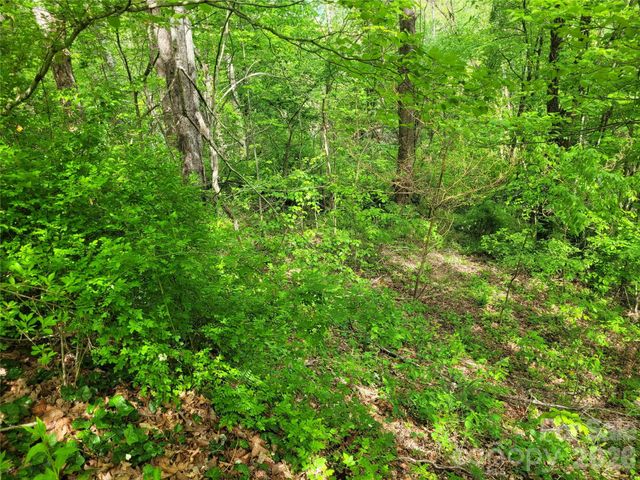 00 Fox Run Road, Waynesville, NC 28785