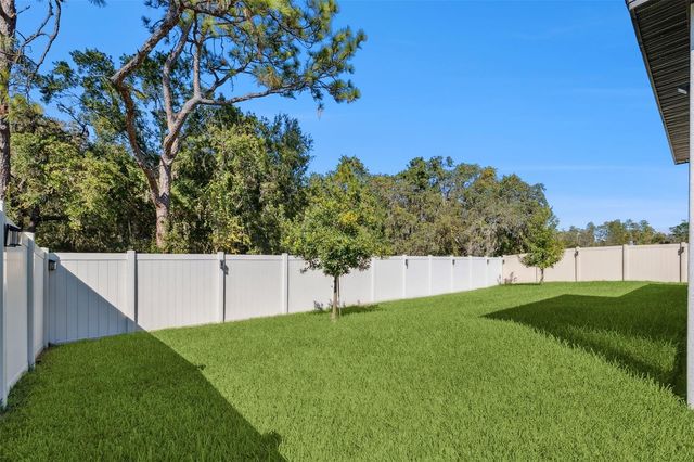 18229 PORFIRIO PLACE, Spring Hill, FL 34610